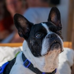 Программы лояльности казино без депозита и бонусные системы