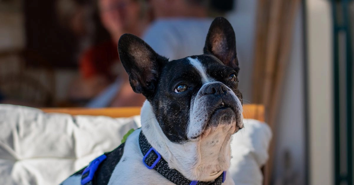 Программы лояльности казино без депозита и бонусные системы