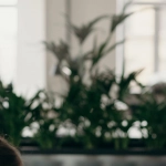 Немецкие игорные сайты и онлайн казино платформы